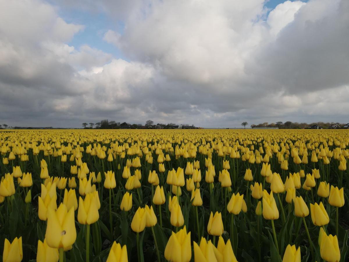 Camping De Tulpenweide Lege Kampeerplaats, Lege Plaats Op Het Gras Zonder Bed Breezand Екстериор снимка