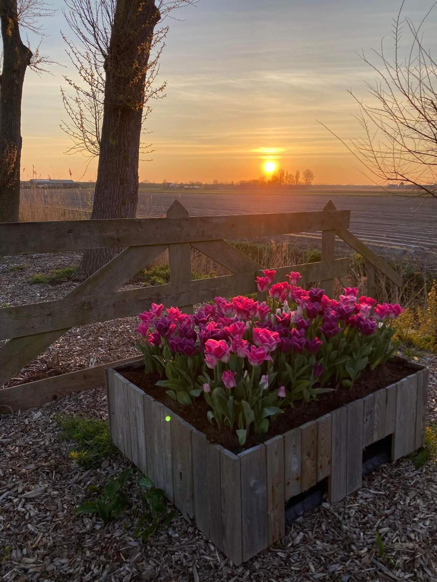 Camping De Tulpenweide Lege Kampeerplaats, Lege Plaats Op Het Gras Zonder Bed Breezand Екстериор снимка