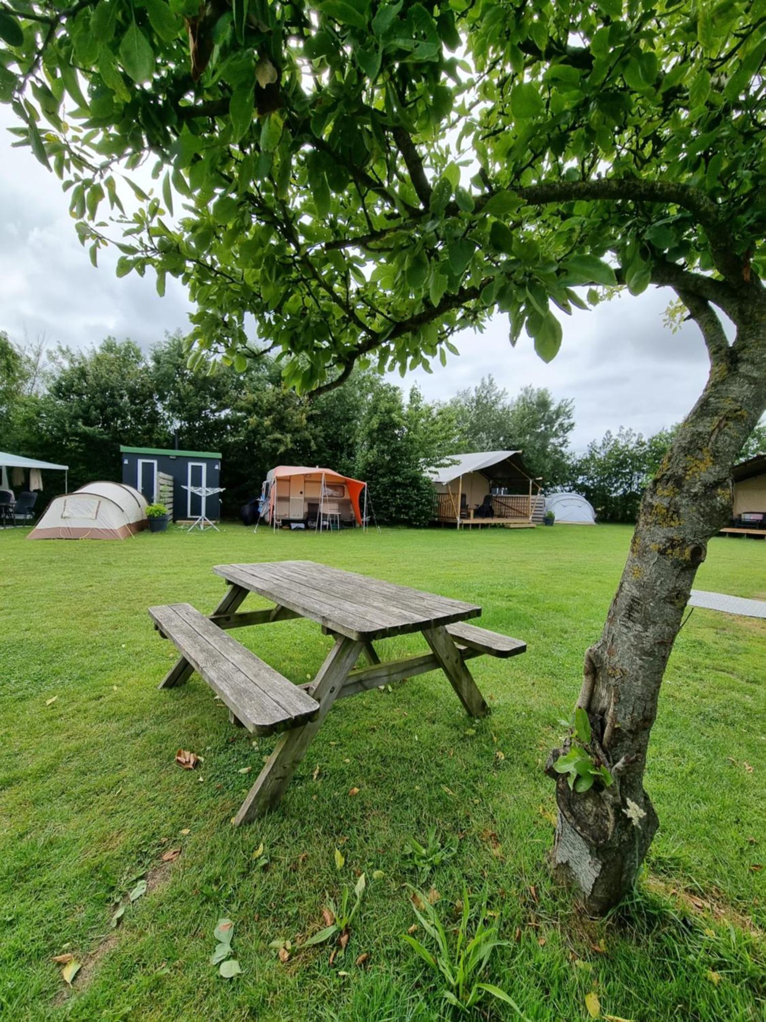 Camping De Tulpenweide Lege Kampeerplaats, Lege Plaats Op Het Gras Zonder Bed Breezand Екстериор снимка