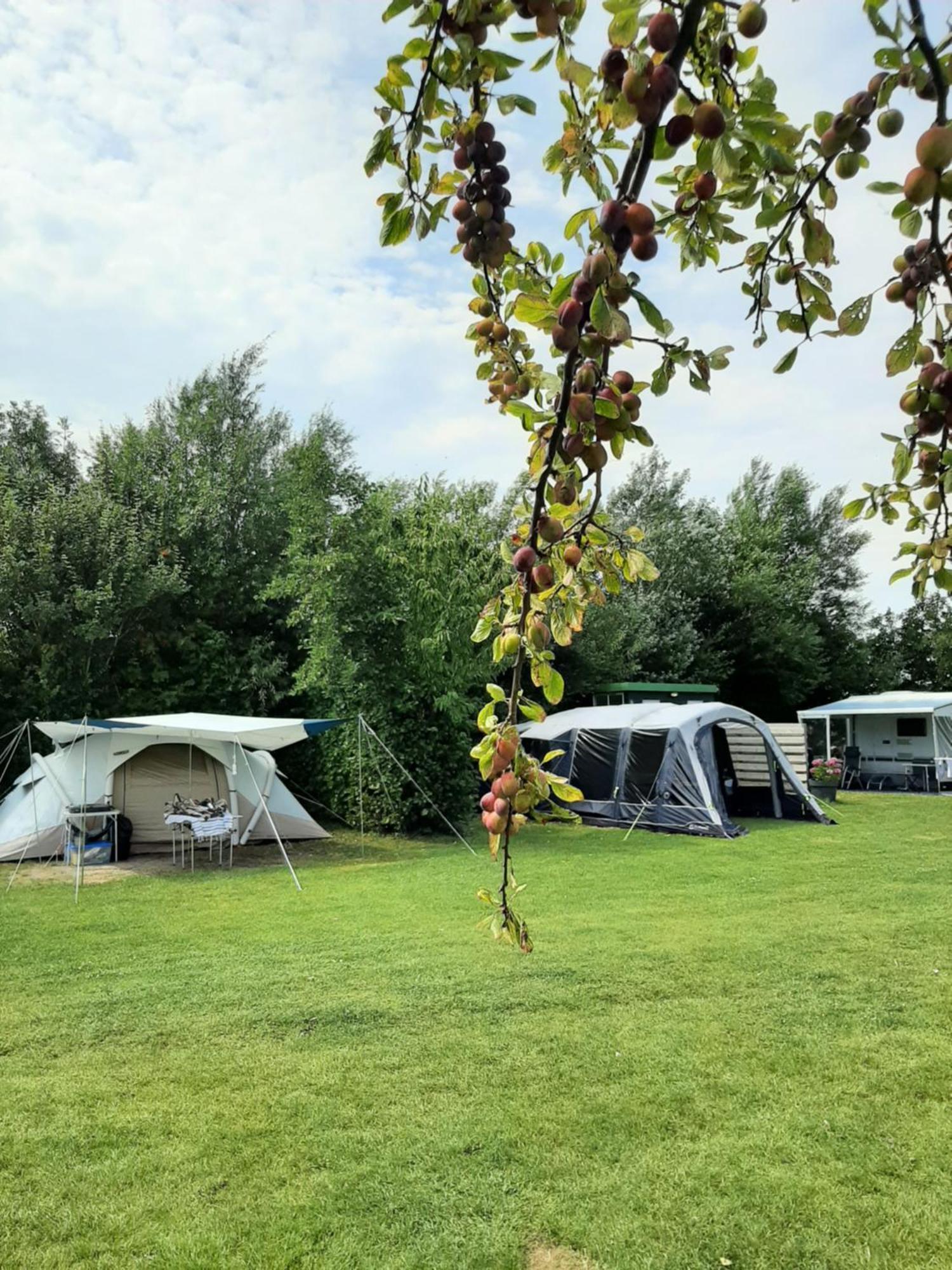 Camping De Tulpenweide Lege Kampeerplaats, Lege Plaats Op Het Gras Zonder Bed Breezand Екстериор снимка