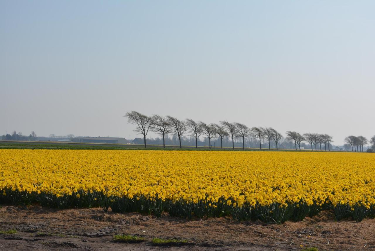 Camping De Tulpenweide Lege Kampeerplaats, Lege Plaats Op Het Gras Zonder Bed Breezand Екстериор снимка