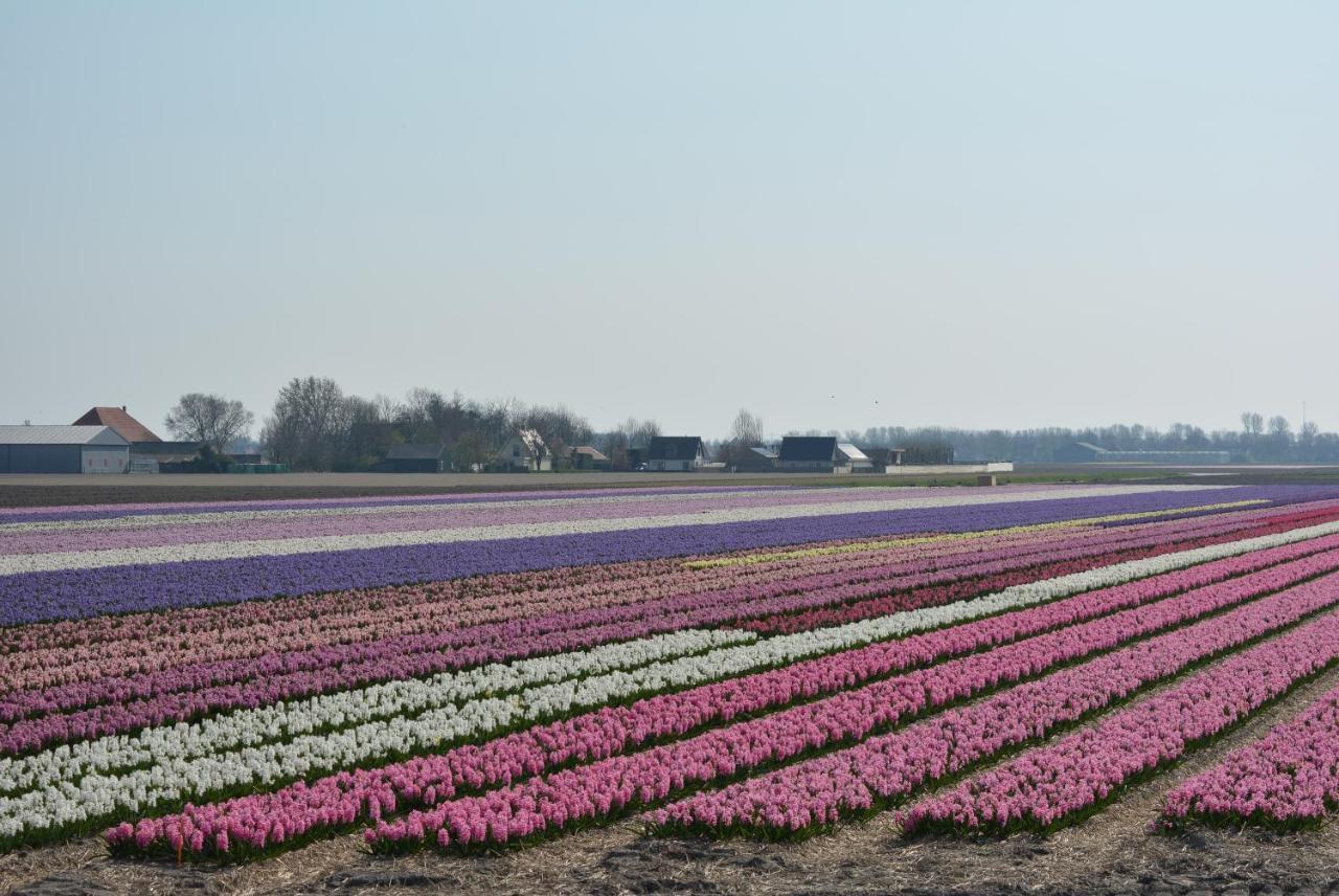 Camping De Tulpenweide Lege Kampeerplaats, Lege Plaats Op Het Gras Zonder Bed Breezand Екстериор снимка
