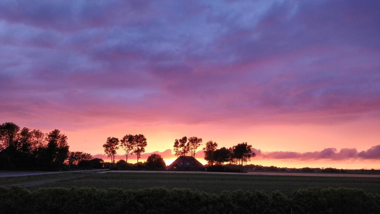 Camping De Tulpenweide Lege Kampeerplaats, Lege Plaats Op Het Gras Zonder Bed Breezand Екстериор снимка